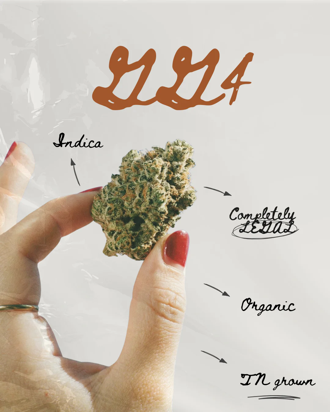 GG4 THC-A Flower - Image 3