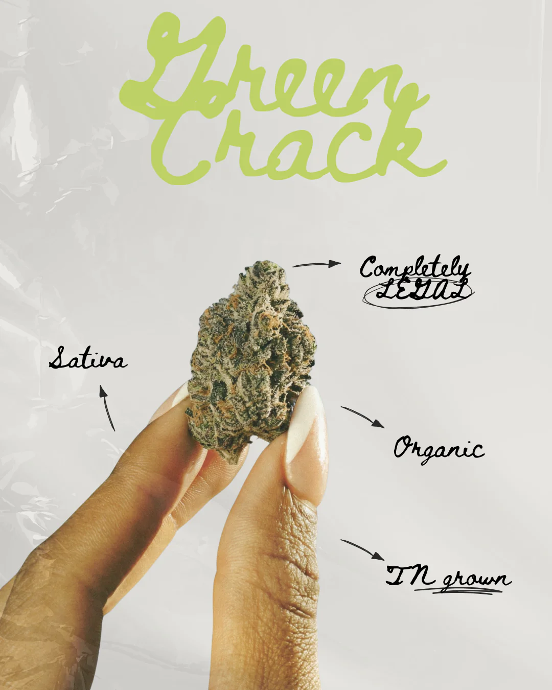 Green Crack THC-A Pre-roll - Image 4