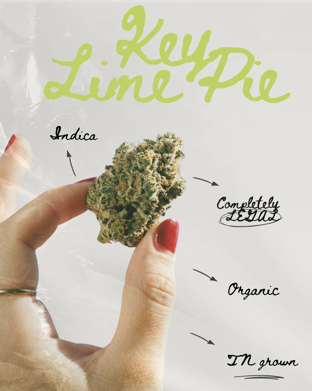 Key Lime Pie THC-A Pre-roll - Image 5
