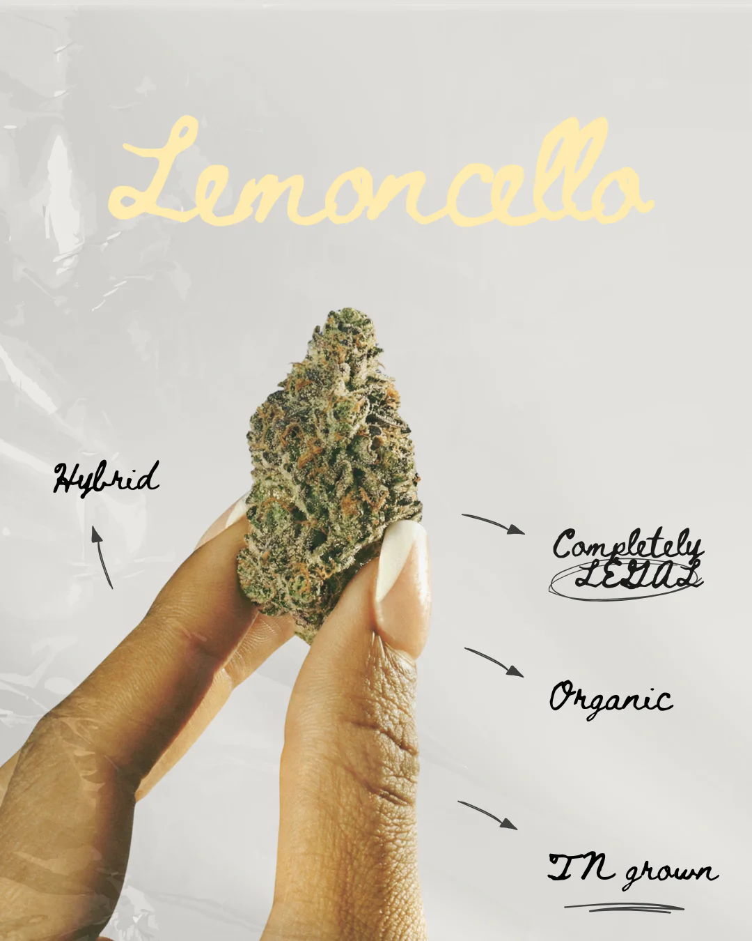 Lemoncello THC-A Pre-roll - Image 5