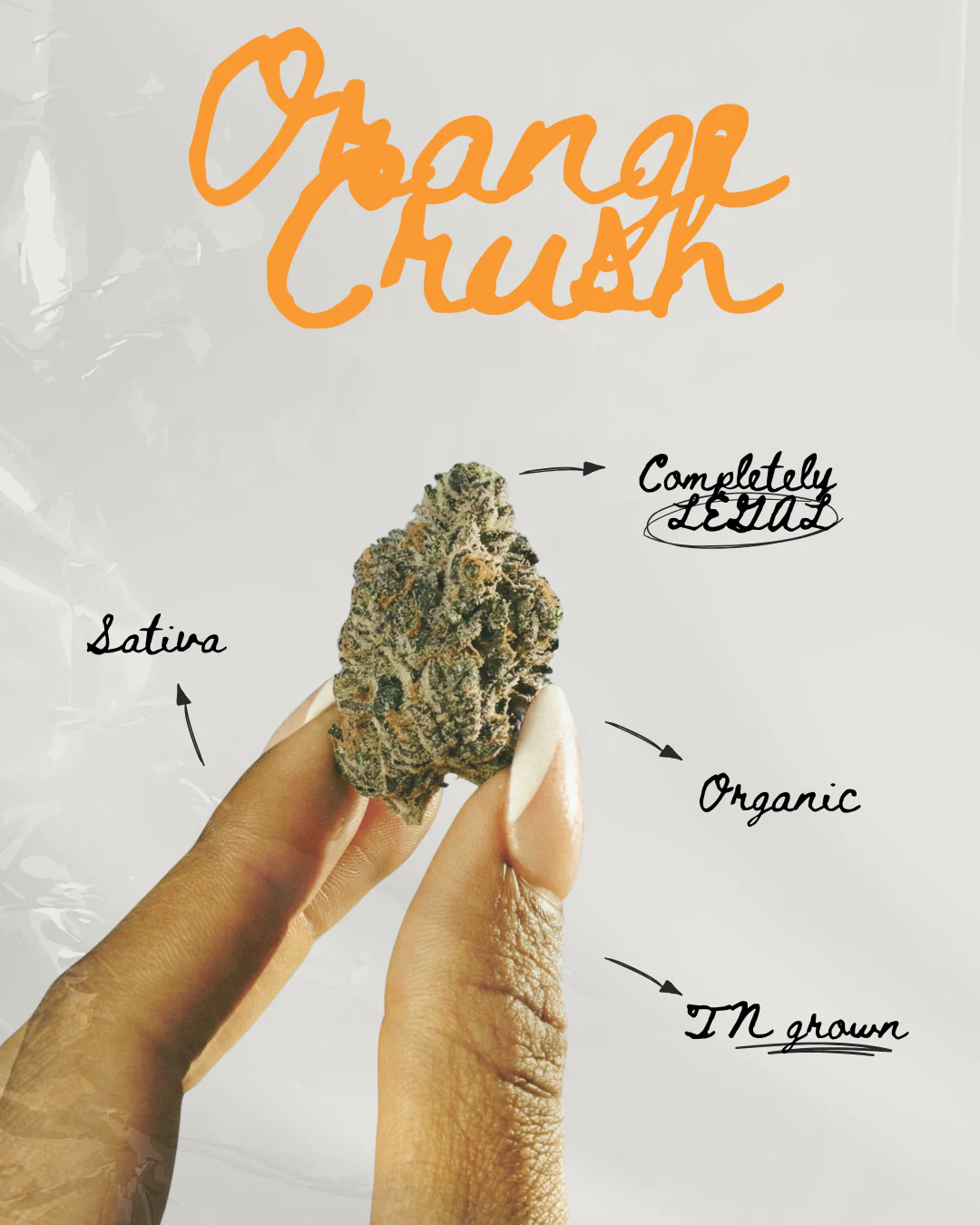 Orange Crush THC-A Pre-roll - Image 4