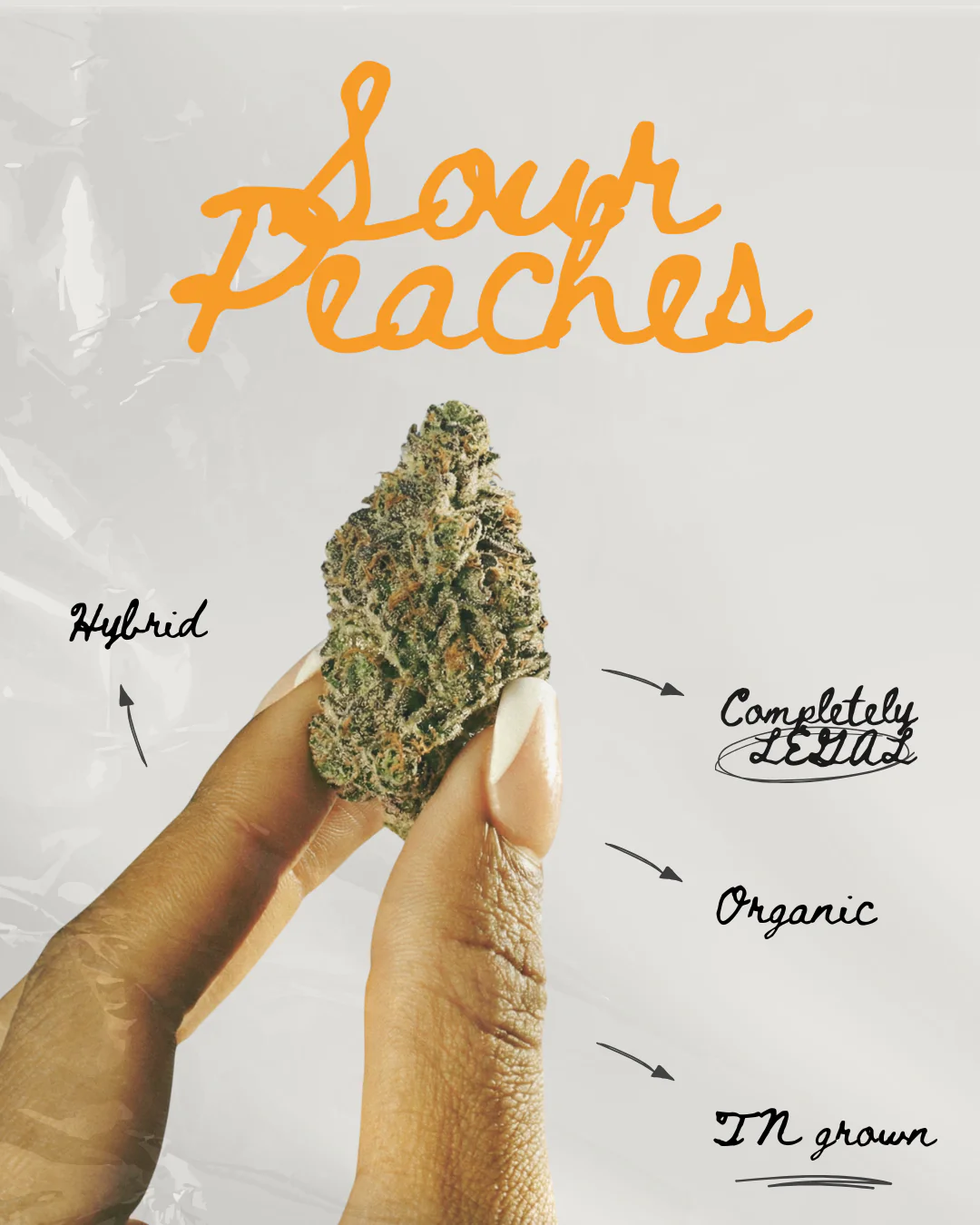 Sour Peaches THC-A Flower - Image 4