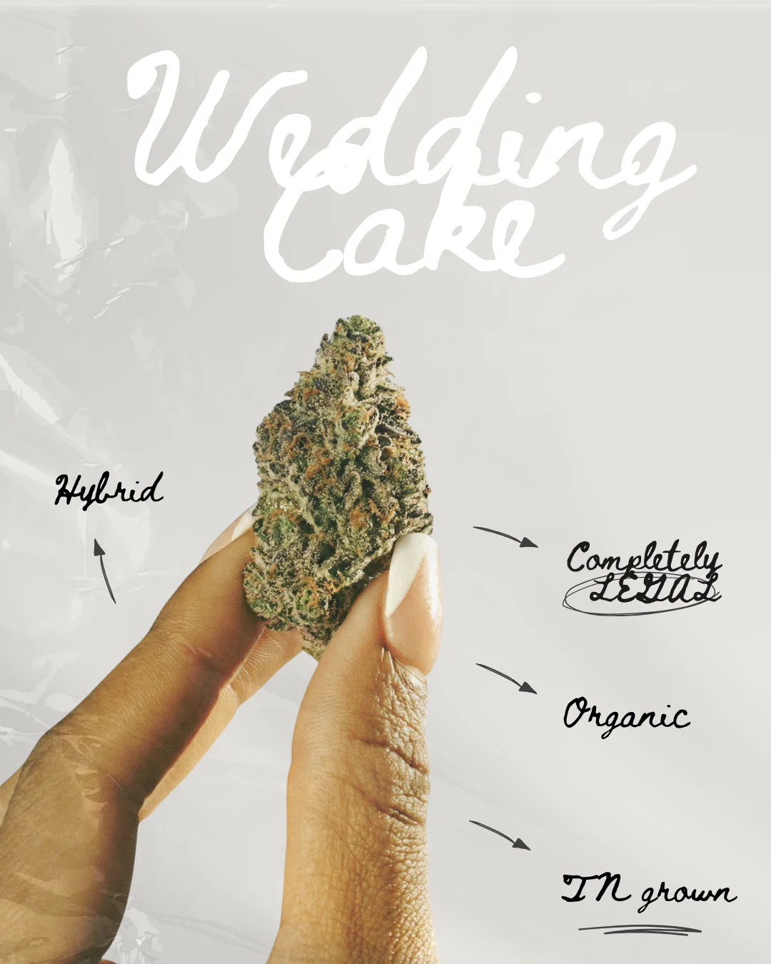 Wedding Cake THC-A Flower - Image 4